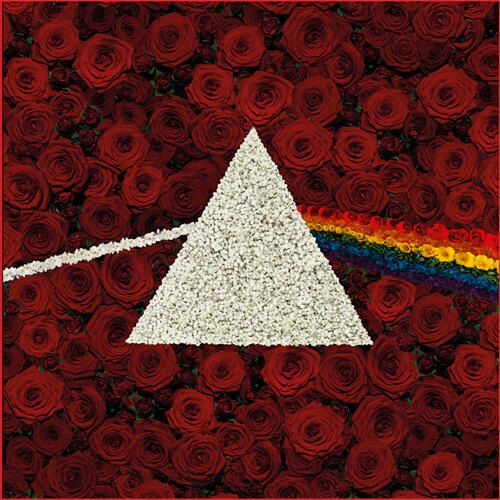 Pink Floyd The Dark Side Of The Moon